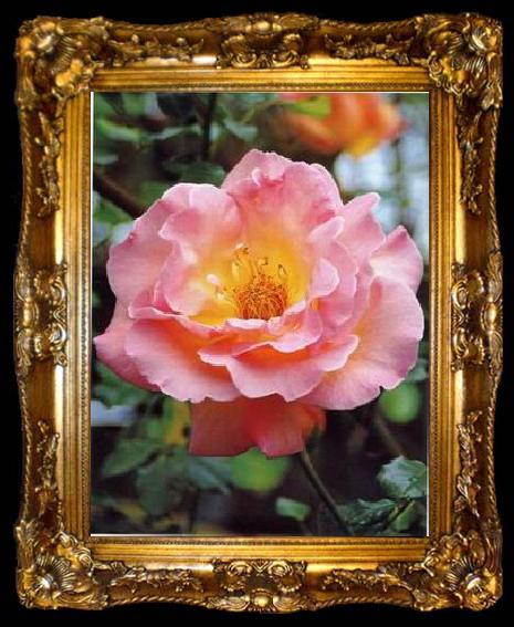 framed  unknow artist Still life floral, all kinds of reality flowers oil painting  296, ta009-2